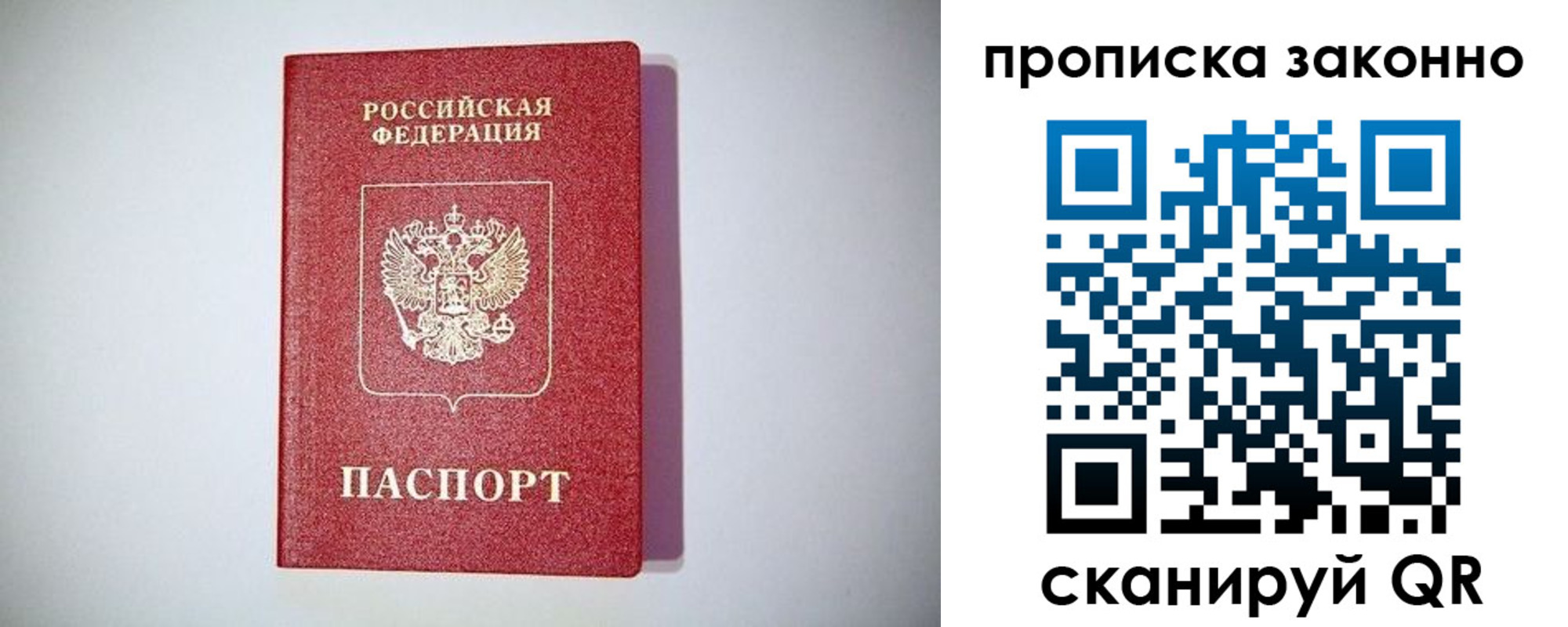 прописка для школы в Белгородской области